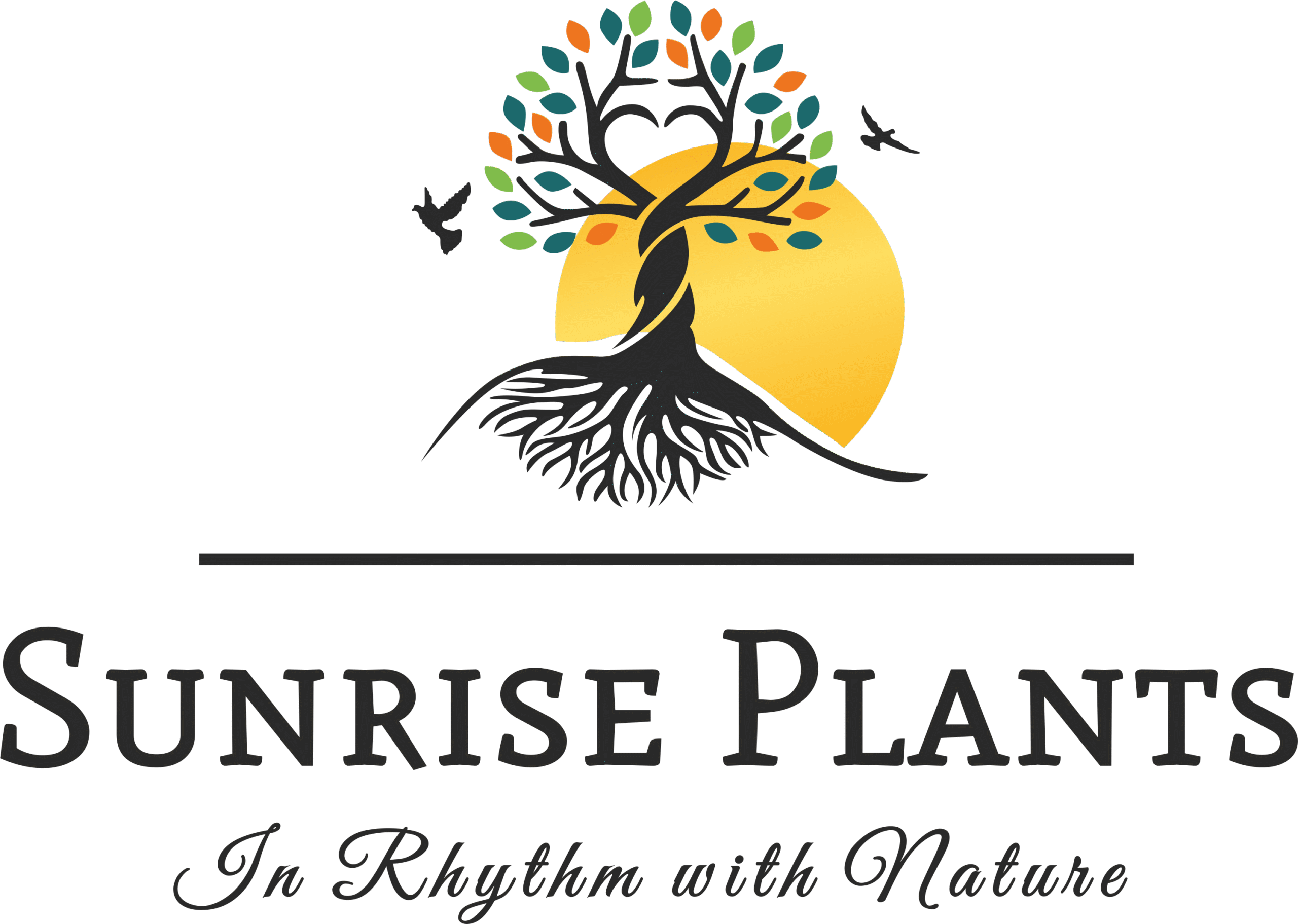 Sunrise Plants
